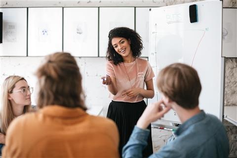 Professional Development - Image of an adult presenting to a group of other adults.